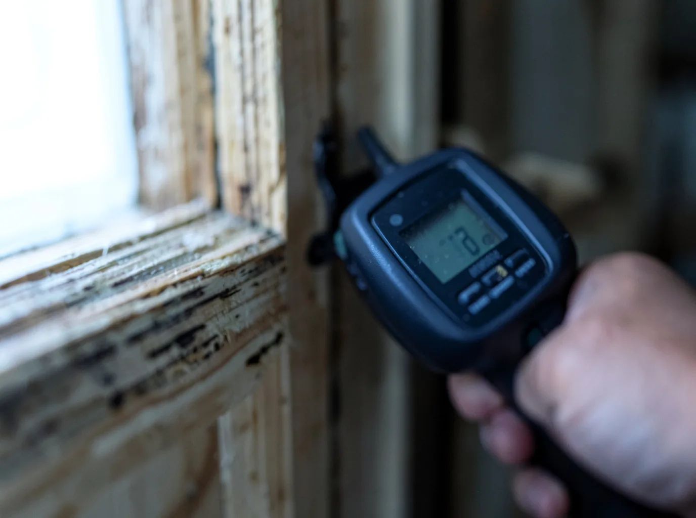 Moisture Inspection And Documentation in Clarksville, IA